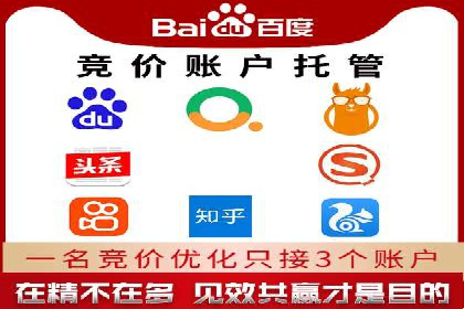 百度竞价运营实战案例分析：提升ROI策略